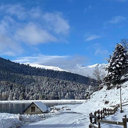Gite Du Montagnol A Payolle Сент-Мари-де-Кампан Экстерьер фото