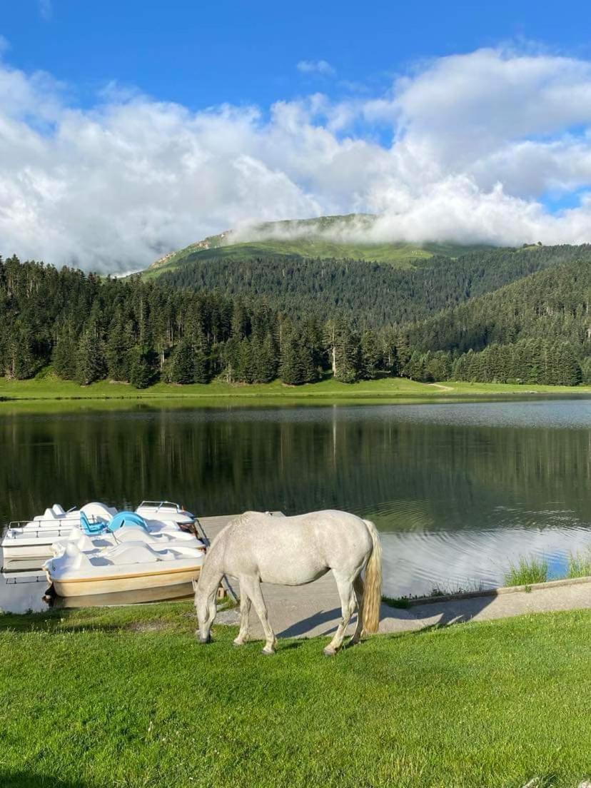Gite Du Montagnol A Payolle Сент-Мари-де-Кампан Экстерьер фото