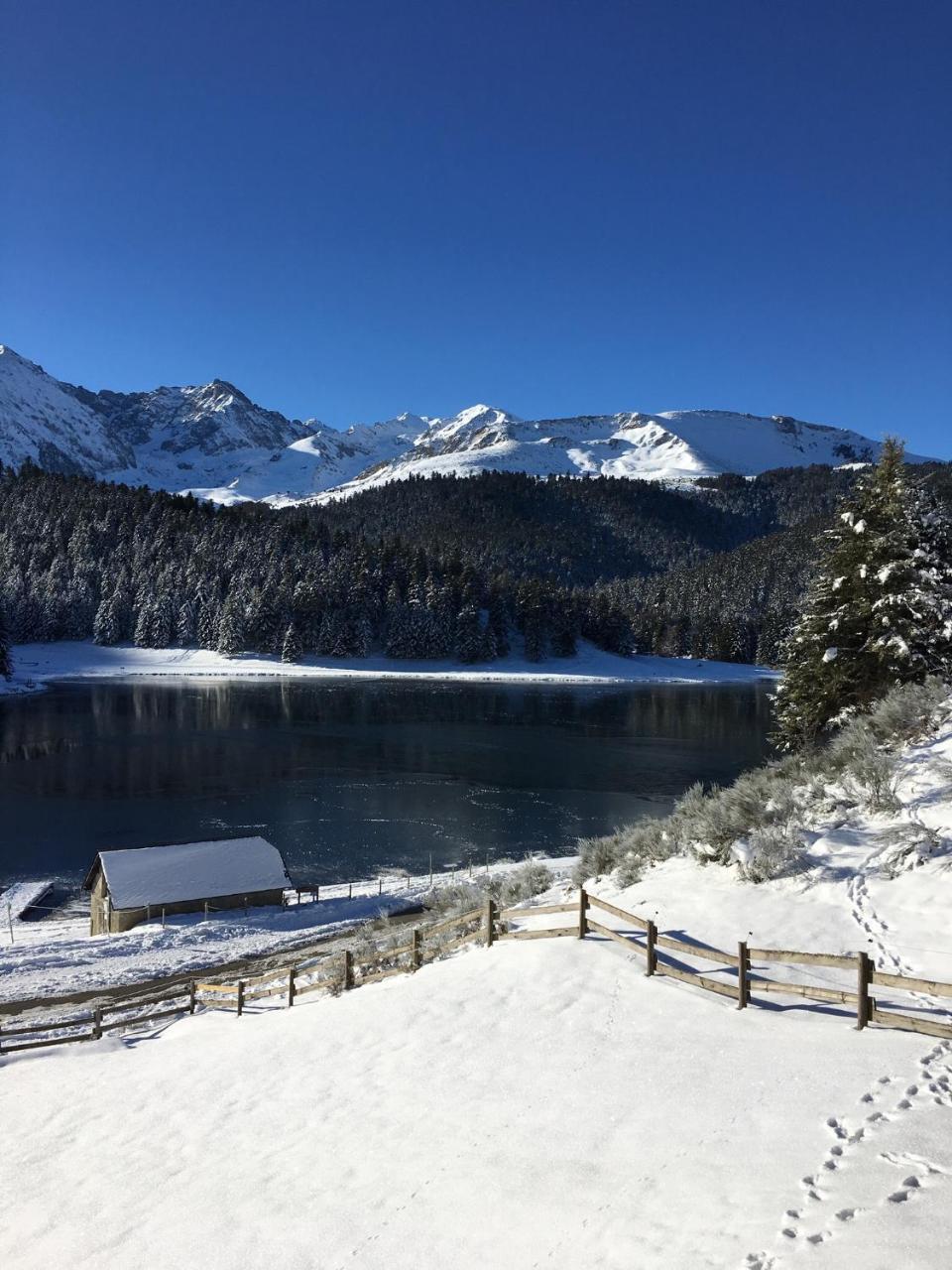 Gite Du Montagnol A Payolle Сент-Мари-де-Кампан Экстерьер фото